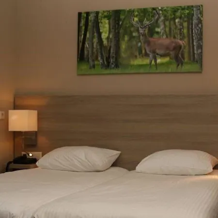 Hotell Fletcher Het Veluwse Bos Beekbergen