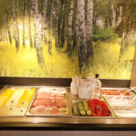 Fletcher Het Veluwse Bos Otel 3*