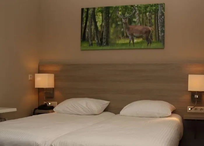 Hotel Fletcher Het Veluwse Bos Beekbergen