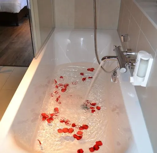 Fletcher Het Veluwse Bos 3* Бикберген